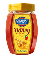 American Harvest Natural Honey Hexa Jar, 250g