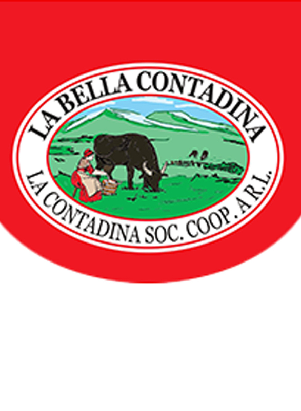 La Bella Contadina Italian Campana Frozen Mozzarella Cheese, 200g