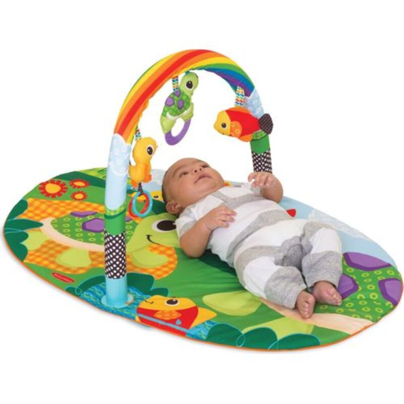 Infantino Explore & Store Activity Gym, Turtles, Pink/Green