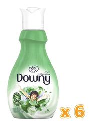 Downy Concentrate Dream Gardens Fabric Softeners, 6 Bottles x 1 Liter