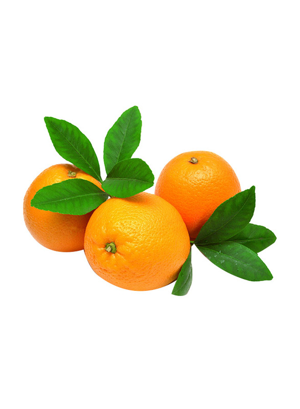 

Generic Orange Naval Egypt, 1x1