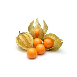 Physalis Colombia, 100 grams Packet