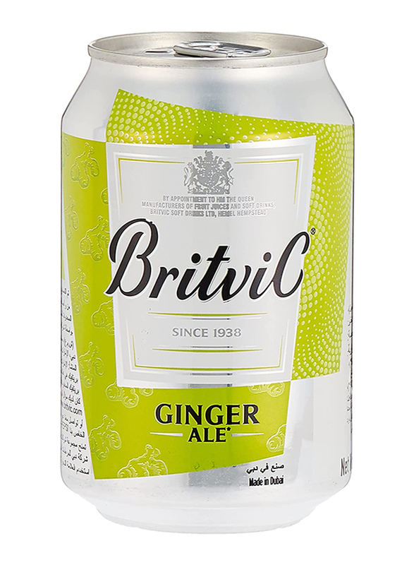 

Britvic Ginger Ale, 300ml