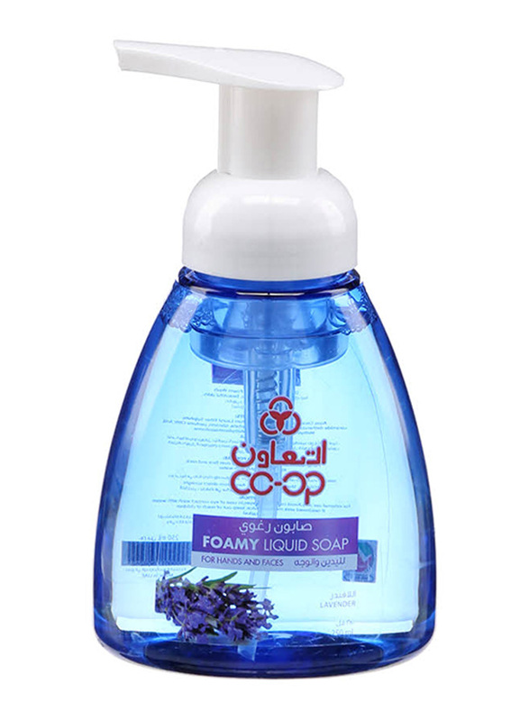 

CO-OP Foamy Lavender Liquid Soap, 250ml