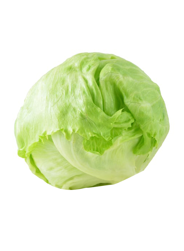 

Generic Lettuce Iceberg United Arab Emirates, 1x1