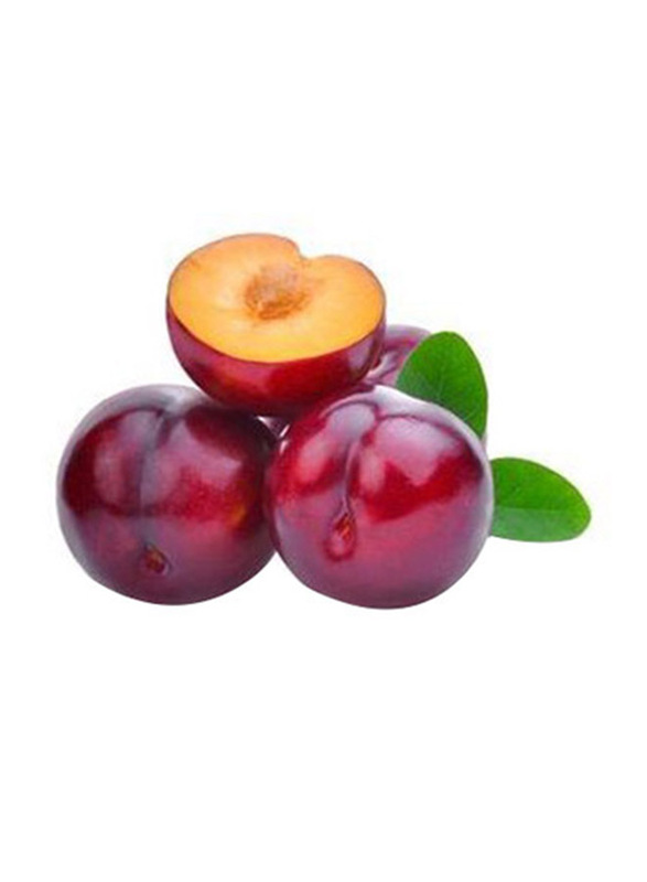 

Generic Red Plumbs South Africa