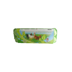 Al Jazira Eco&Vege Fed Hen Eggs 12's