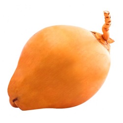 Coconut King Sri lanka, 1 Piece