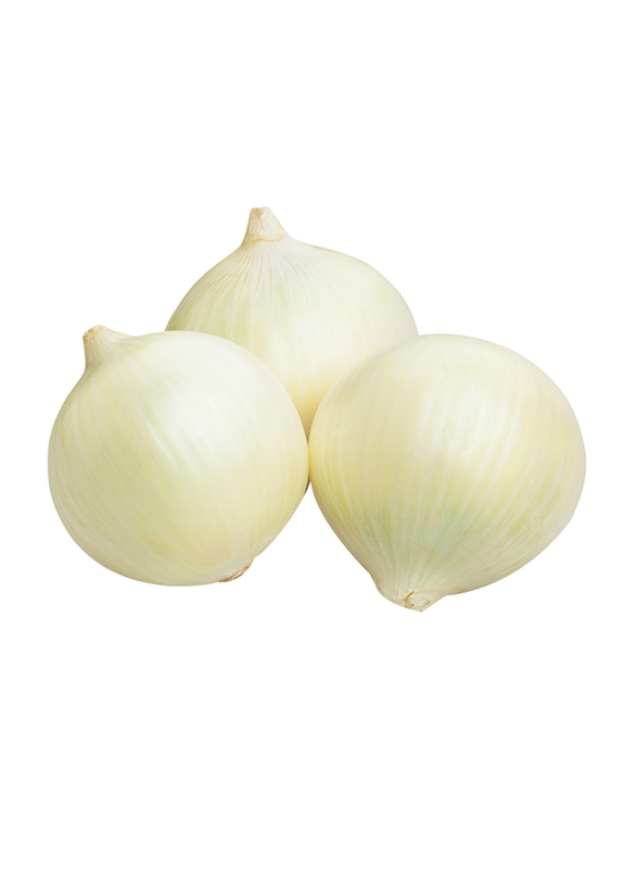 

Generic White Onion Spain, 2 Kg