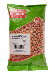 Nature's Choice Peanut Plain, 24 x 500g