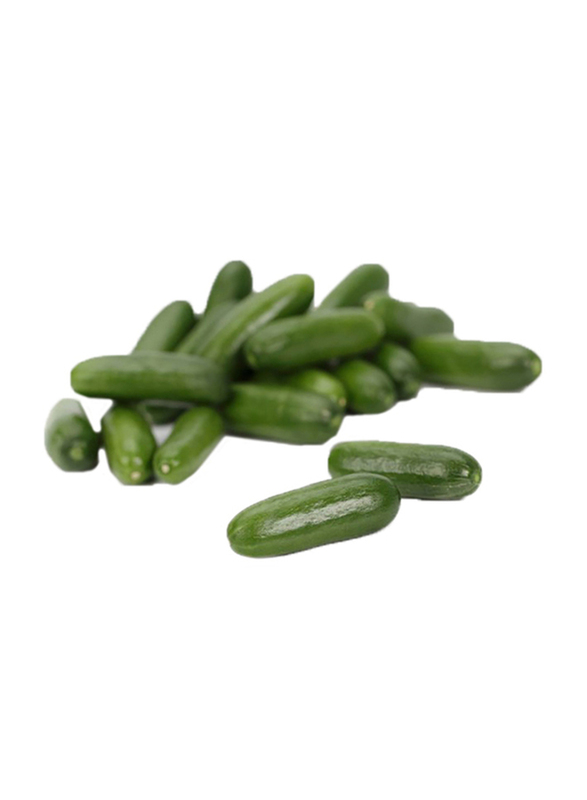 

Generic Hydroponic Cucumber UAE, 1000 Kg