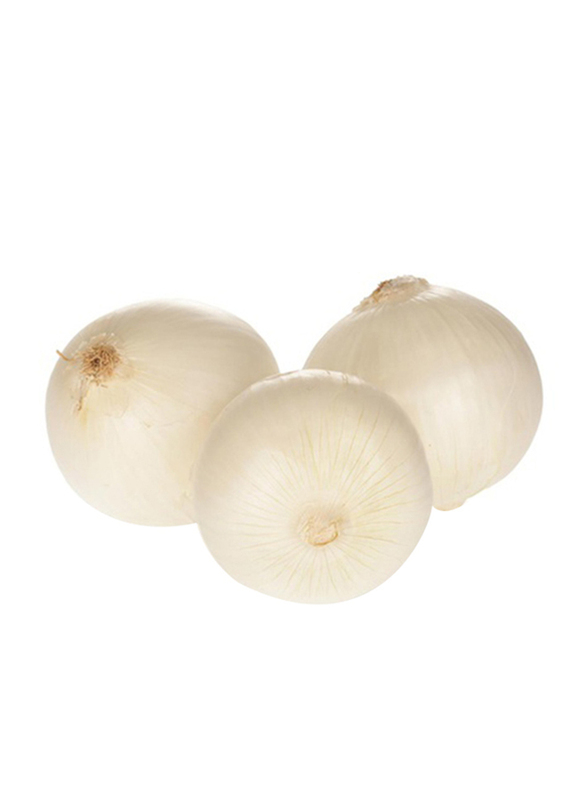 

Generic White Onion Spain