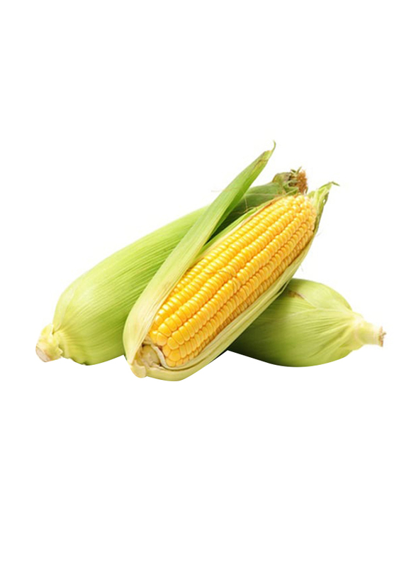 

Generic Sweet Corn United Arab Emirates, 500g