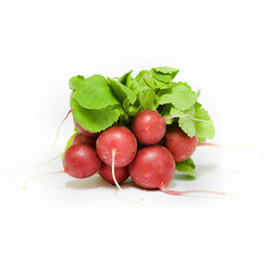 Red Radish Without Leaf Lebanon, 250 grams Packet