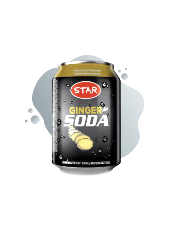 

Star Ginger Soda, 300ml