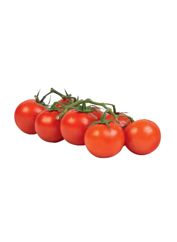 

Generic Tomato Bunch Iran, 1x1