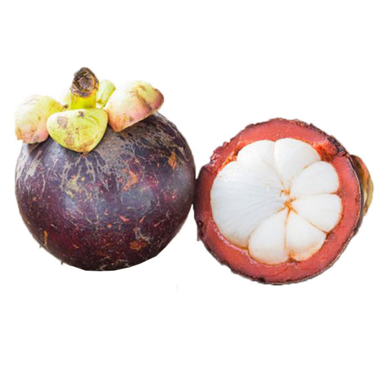 Mangosteen Indonesia, 500 grams Packet