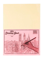 PaperOne A4 Size Drawing Sheet, 24 Sheets, White