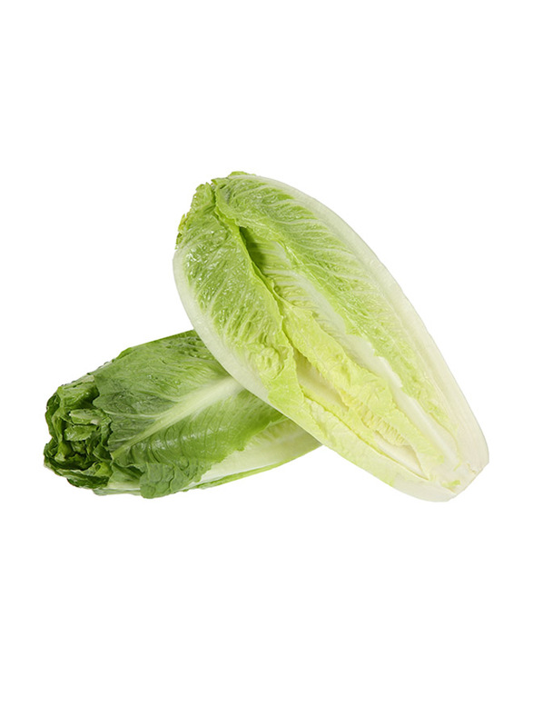 

Generic Lettuce Clean Iran, Islamic Republic Of, 1x1