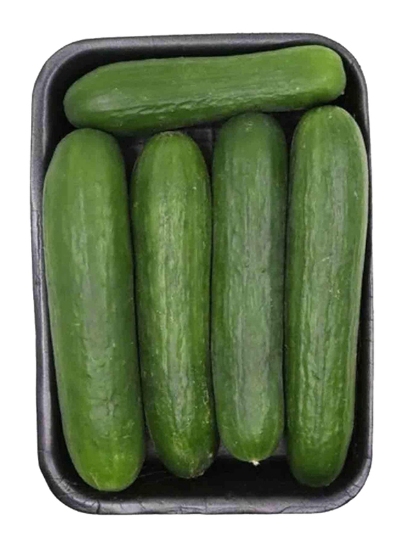 

Generic Cucumber Organic United Arab Emirates, 1x1