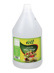 Union White Vinegar, 1 Gallon