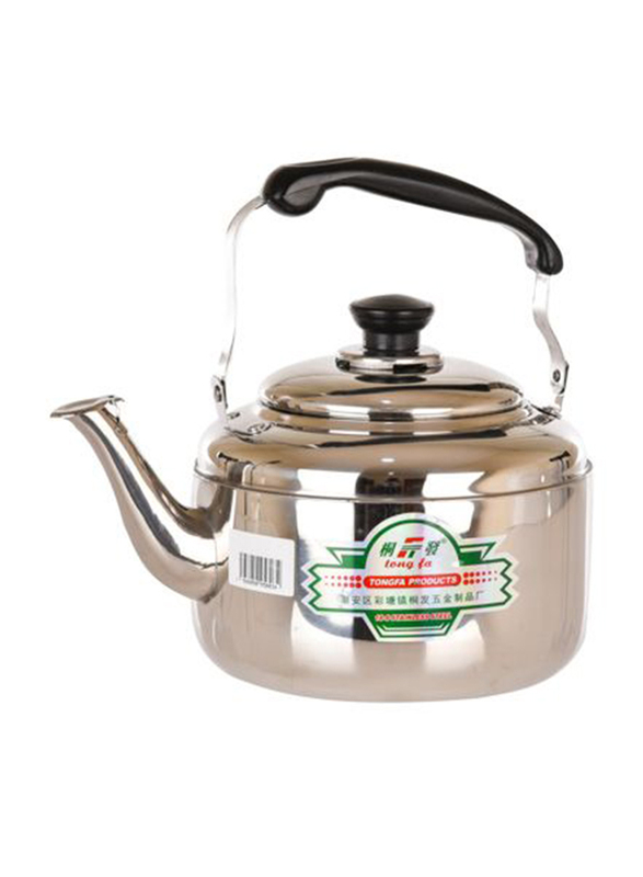 

Sweet Home Electric and Gas Stainless Steel Tea Kettle, Silver