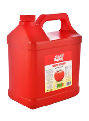 Union Tomato Ketchup, 5 Kg