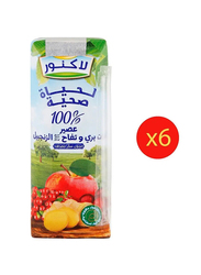 acnor Hl Cranberry Apple with Ginger - 6 x 250ml