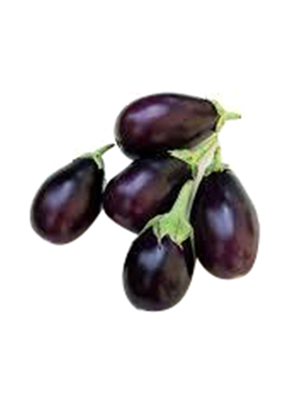 

Generic Baby Eggplant Oman, 1 Kg