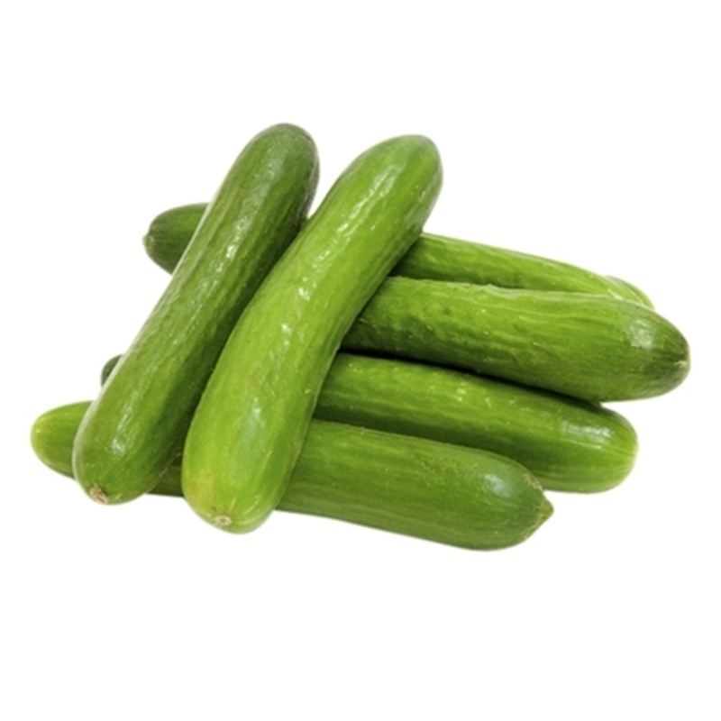 

Cucumber Organic Packet