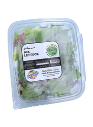 Barakat Fresh Mixed Lettuce, 250g
