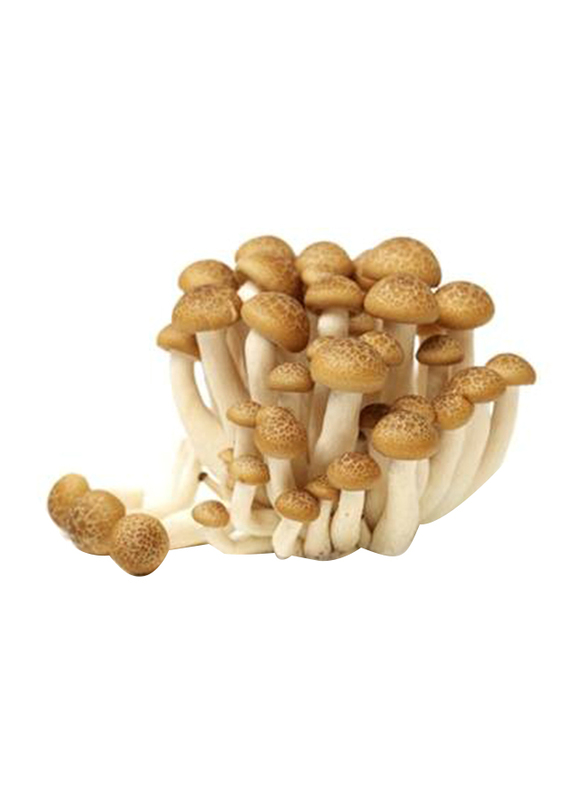 

Mushroom Brown Shimeji, 1 Packet