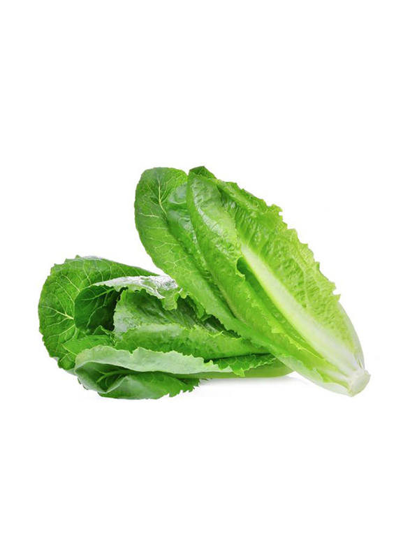 

Thimaar Lettuce Romaine, 500g