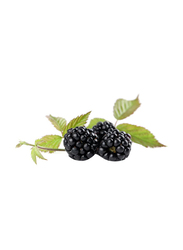 Black Berry, Pieces
