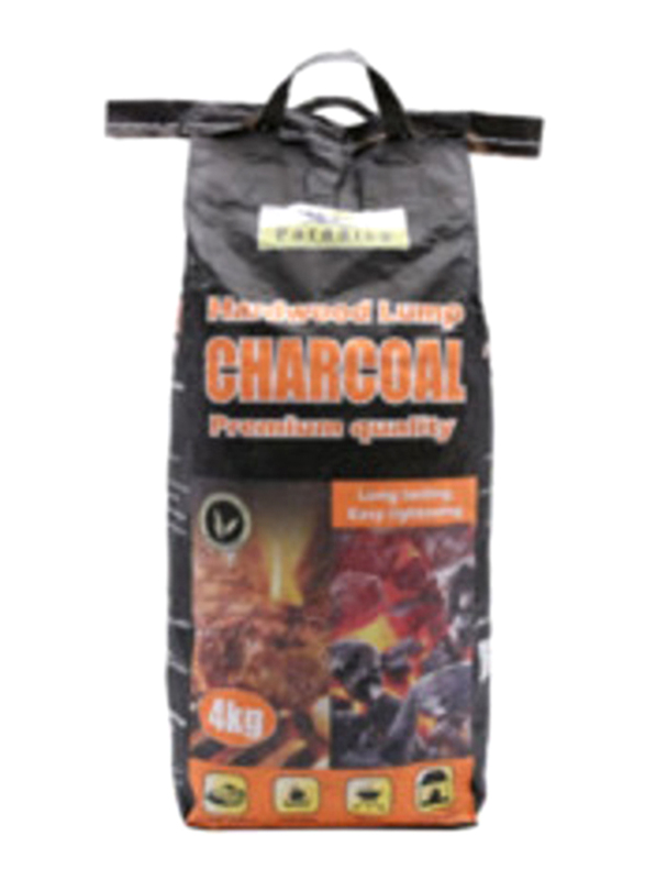 

Paradiso 4 Kg Charcoal With Manual Fan, Black