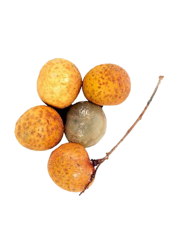 

Generic Longan, 1 Packet