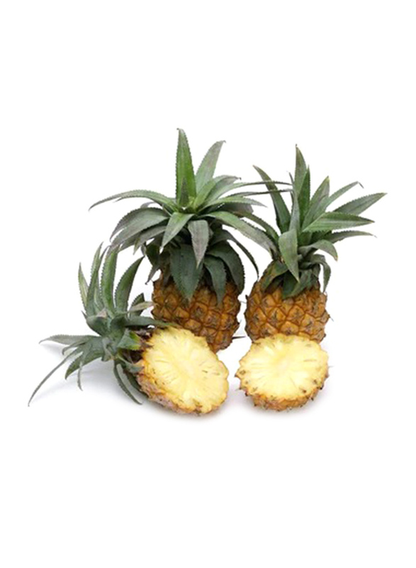 

Baby Pineapples South Africa