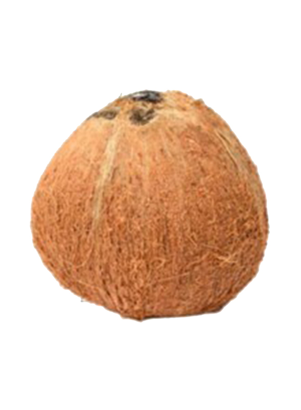 

Dry Coconut India, 1 Piece