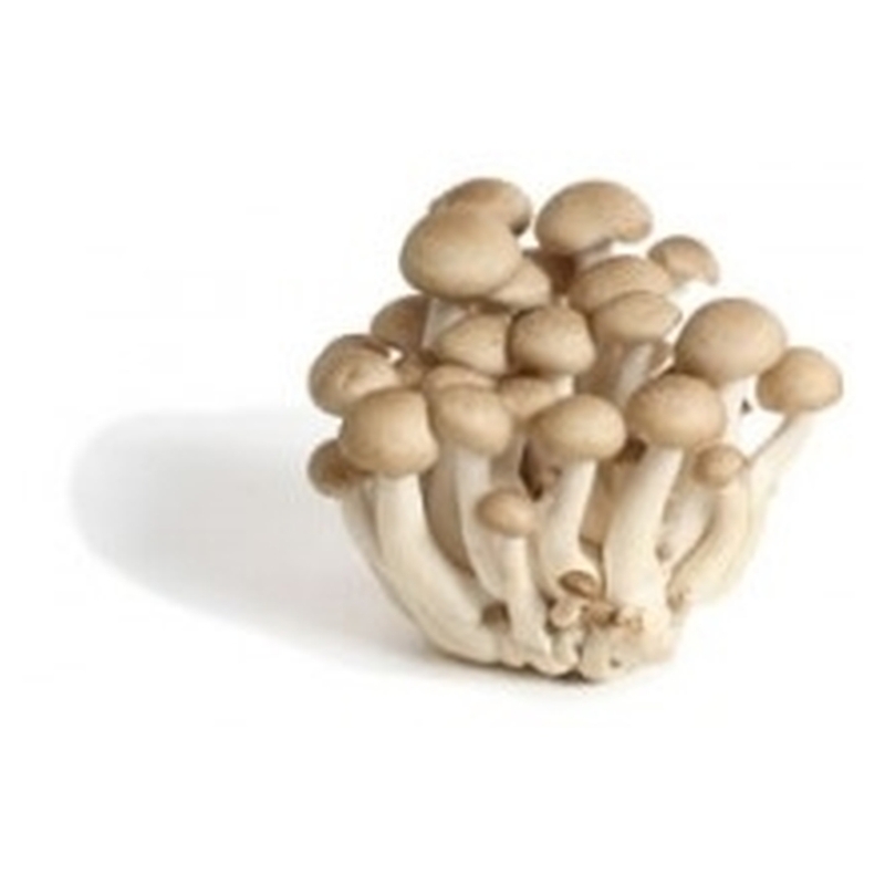 

Mushroom Brown, 500 grams