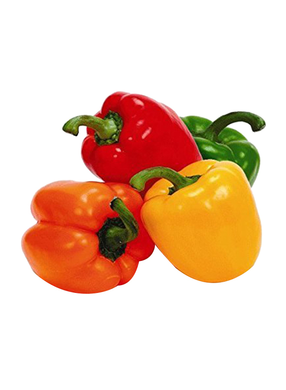 

Generic Mixed Capsicum, Pieces