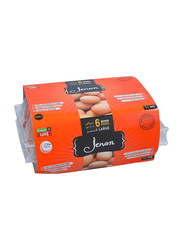 Jenan Brown Eggs, Large, 6 Pieces