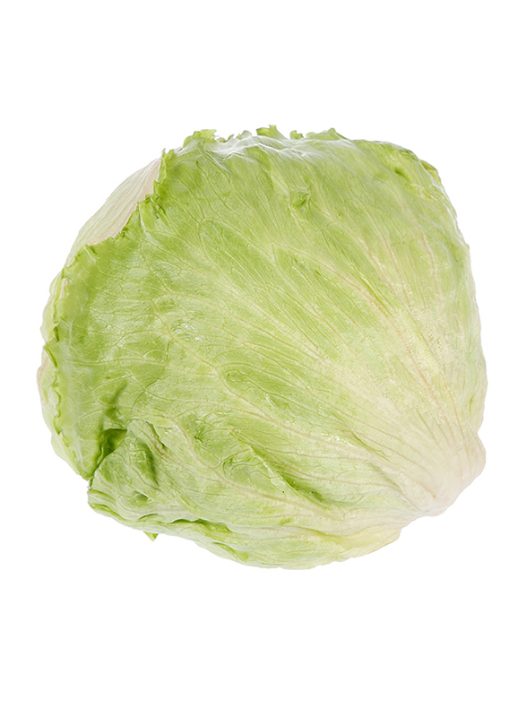 

Iceburg Lettuce Spain, 1 Kg