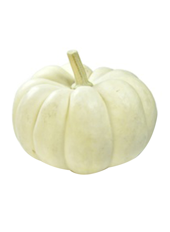 

White Pumpkin, 1 Kg