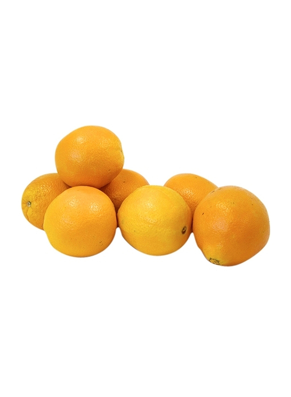 

Orange Naval, 1000g