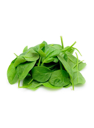 Baby Spinach Leaves Italy