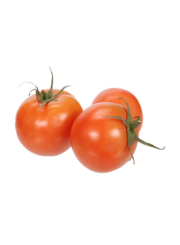 

Tomato Iran