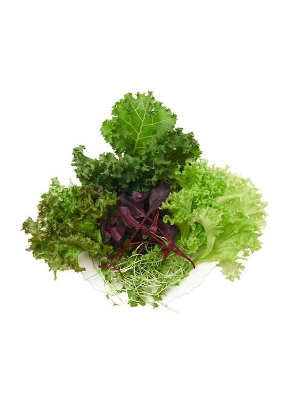 

Kickin Krunch Salad Mix, 100g