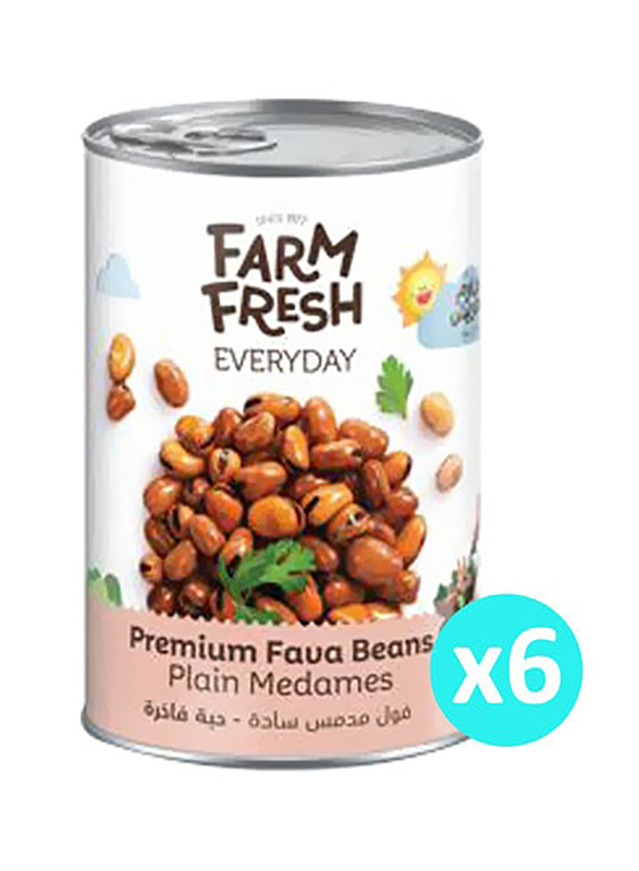 

Farm Fresh Premium Fava Beans Plain Medames, 6 x 450g