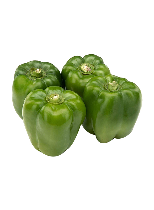 

Organic Bio Farm Green Capsicum, 1 Packet