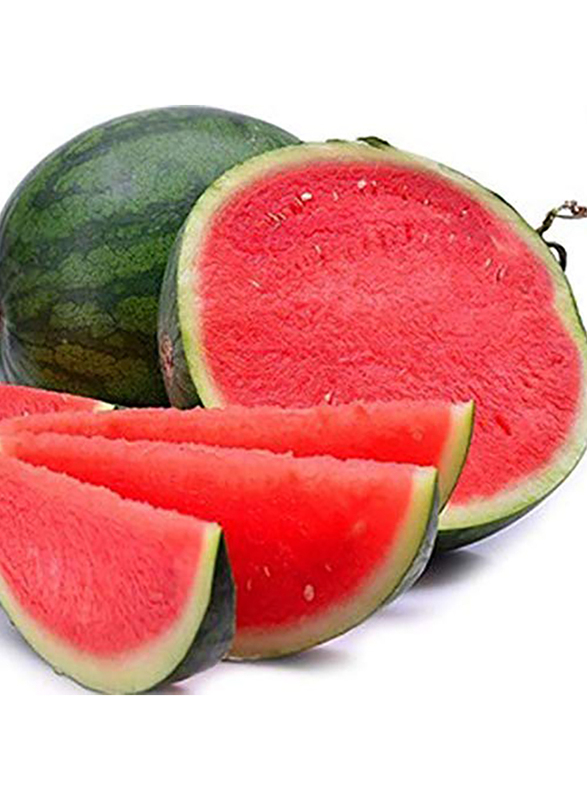 

Thimaar Watermelon, 5 to 8 KG, 1 Piece